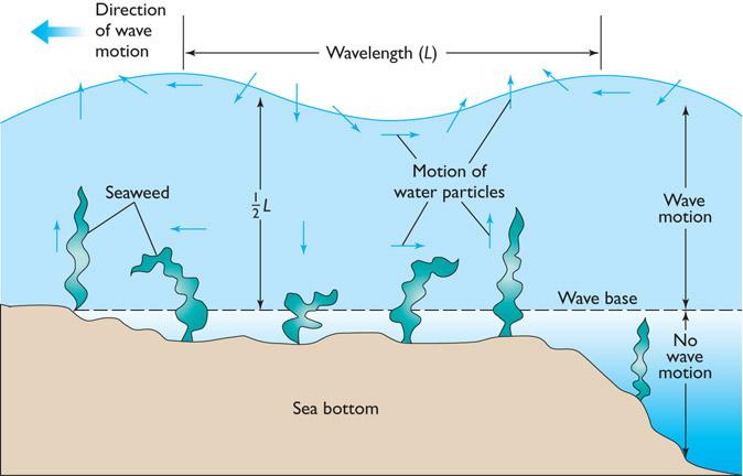 The Motion of Water Particles Beneath Waves Figure 07.