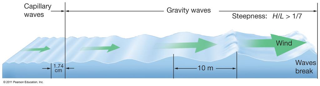 Wind-Generated Wave Development Capillary waves Wind generates stress on sea surface, V-shaped troughs, wavelength < 1.