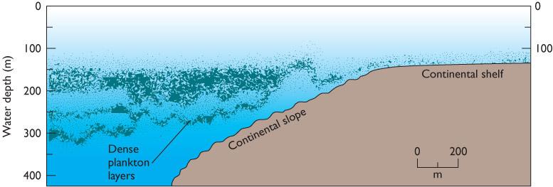 Any disturbance to the pycnocline can generate internal waves, including: Flow of water related to the tides Flow of water masses past each other Storms Submarine landslides Internal Waves Figure 07.