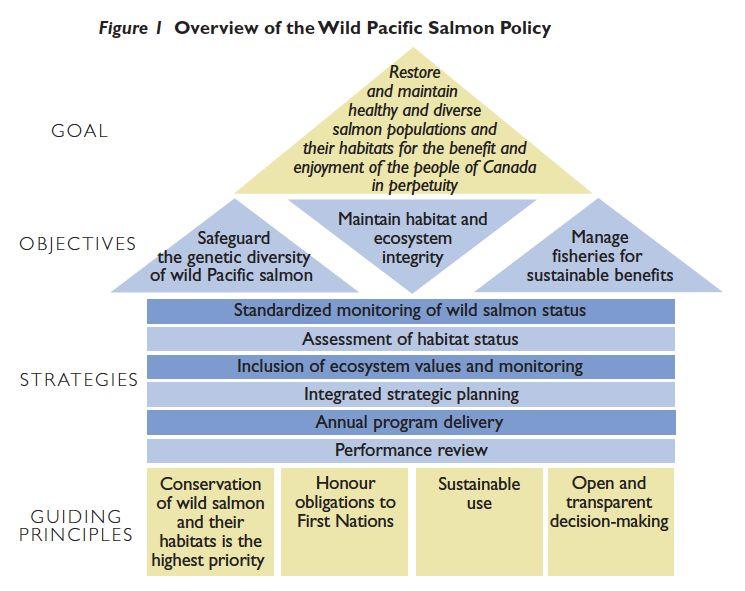 Page 4 An Overview of the Wild Salmon Policy: Why is DFO producing a draft implementation plan 12 years after the Wild Salmon Policy was released?