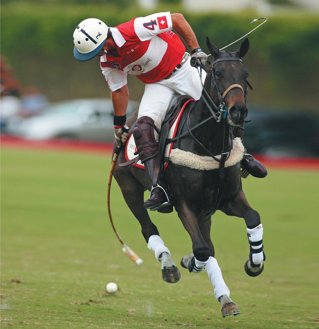 Page 3 The Morning Line Saturday, February 13, 16 Proud sponsors of: 40 Goal Challenge, Palm Beach EFG Aravali Team, UK High Goal Jaeger-LeCoultre Gold Cup International Polo Tournament, Sotogrande