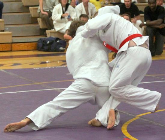 HOW TO WIN AND HOW POINTS ARE SCORED IN FREESTYLE JUDO The scoring hierarchy in freestyle judo is as follows.