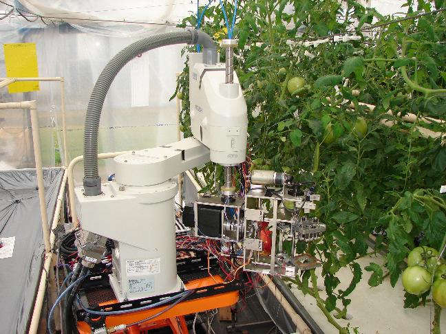 KONDO, YATA, IIDA, SHIIGI, MONTA, KURITA, OMORI: Development of an End-Effector for Tomato Cluster Harvesting Robot 23 Fig. 10 SCARA with a harvesting end-effector. Fig. 11 Dimensions of SCARA (Mitsubishi Electric Corporation).