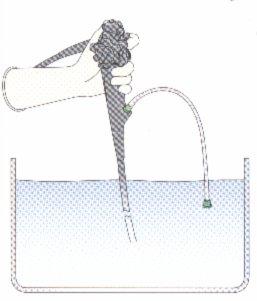 Manual Flushing of Internal Channels 1. Attach the suction cleaning adapter (MH-856) to the instrument channel port. Reattach the suction tubing to the suction outlet of the endoscope. 2.