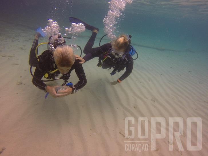 The PADI AI course is the first portion of the PADI IDC.