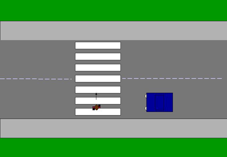 Figure 3: Showcard 1 depicting a person crossing on flashing Don t Walk with traffic initially travelling in the same direction as the pedestrian and turning left on a green light, at a 4-way