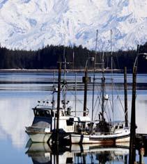 Alaska Fisheries Effective, precise management assures Alaska fisheries are productive, sustainable, and healthy, as mandated by the State of Alaska.