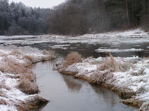 Tartak River