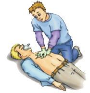 CPR Guidelines 2005 The following is a brief overview of the fundamentals of CPR for