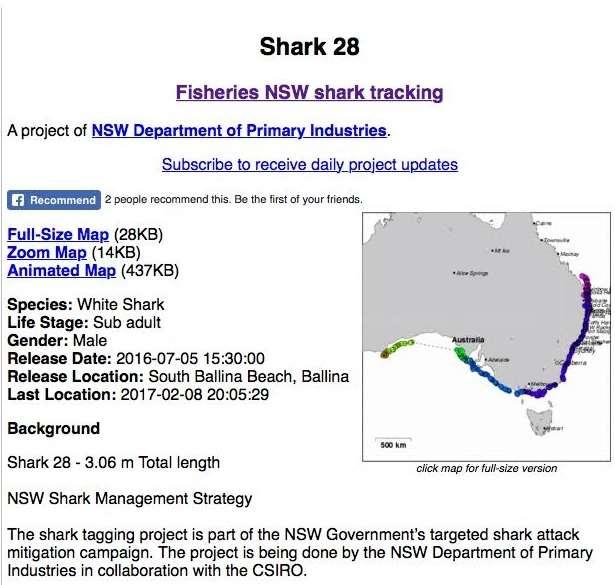 Results General Results Overall, most white sharks were observed at Salisbury Island in late January/early February 2017. No white sharks were observed at Daw Island.