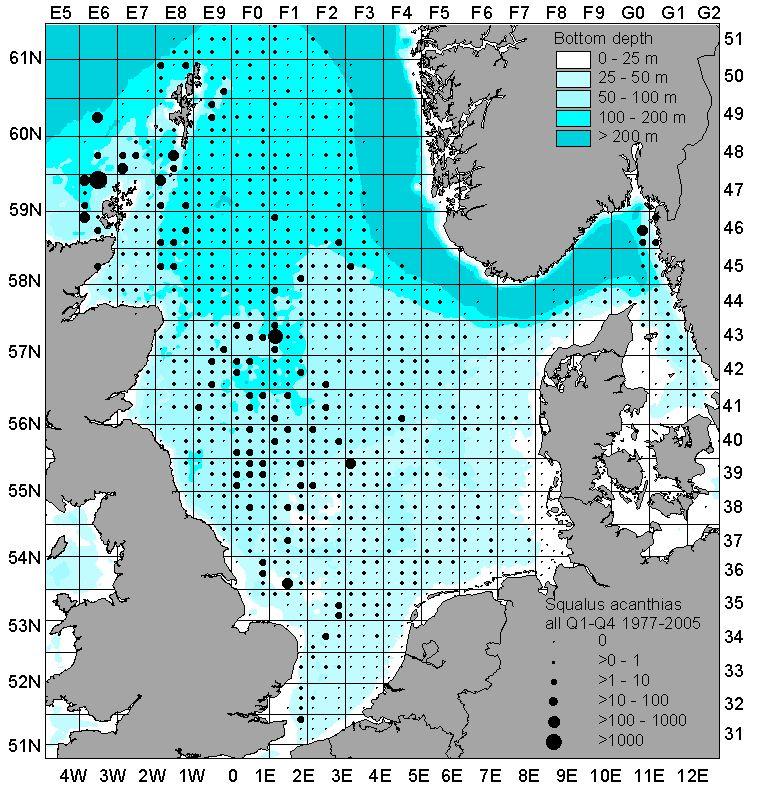 Spurdog occurs throughout the water column along the continental shelf of north-west Europe and has been recorded to depths of 900 m [1]. However, it is most common from 10 200 m [2].