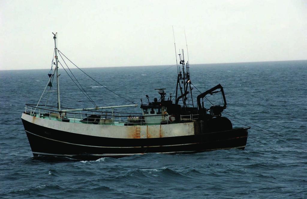 fisheries and aquaculture 37 Trawler, Irish Sea Cod Irish Sea cod is suffering reduced reproductive capacity and the stock is being harvested unsustainably.