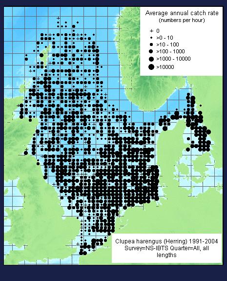 Fishery Abundant pelagic species. In the EU primary use is human consumption but any surplus within the TAC may be used for fishmeal. Baltic herring may be used as feed grade.