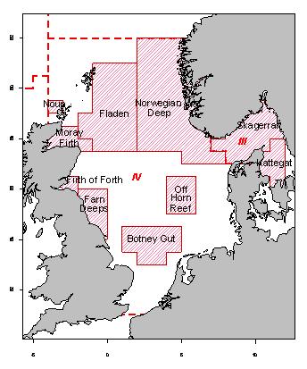6.4.14 Nephrops in Subarea IV (North Sea) Nephrops are limited to a muddy habitat.