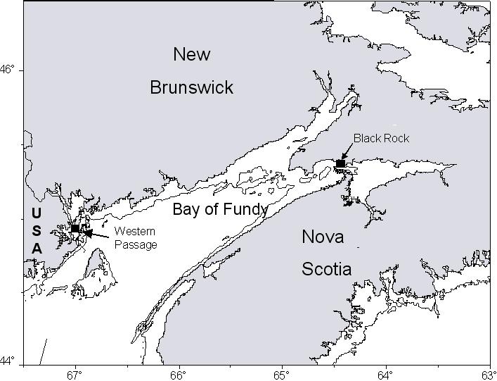 Figure 1. Map of the Bay of Fundy and the two test sites in Head Harbour Passage and the Minas Passage. Study sites (arrows) located near Eastport and Parrsboro respectively.