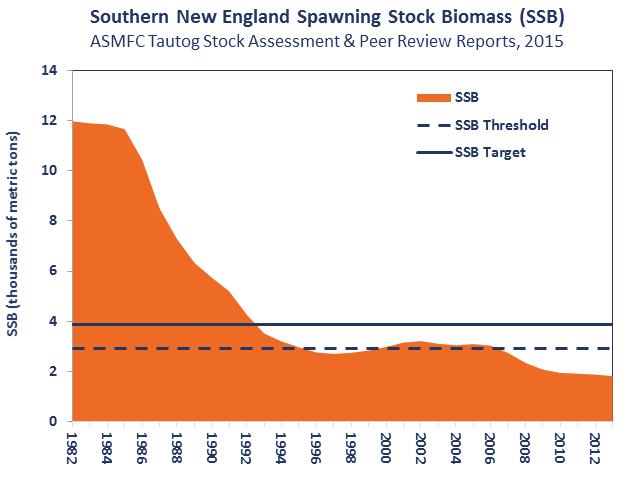 Under the regional stock structure, the Southern New England stock is overfished and experiencing overfishing.