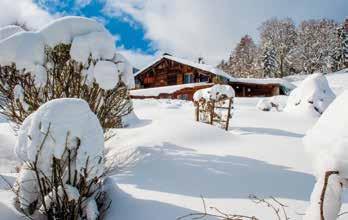 2 bedrooms A fantastic family chalet in a quiet area called les Favrands, 4