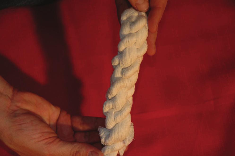 7. When complete, the handler s end of the rope should appear similar to this picture.