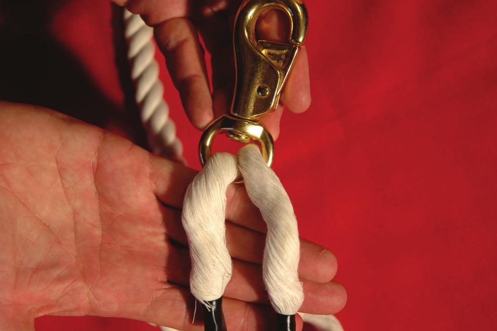 The snap end does not use a crown knot, so it can be more difficult to begin the back plaiting.