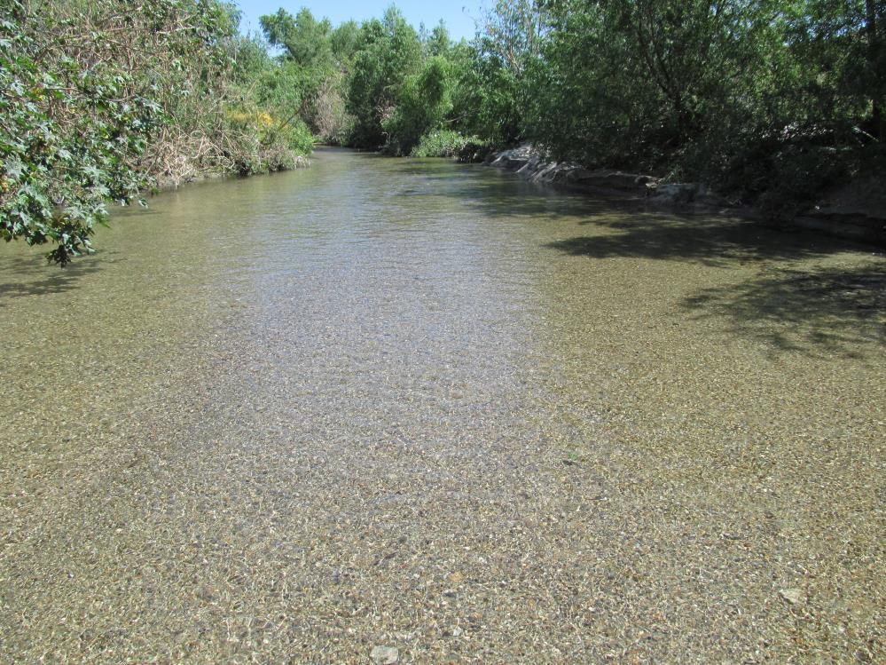 Current Conditions Santa Ana River after rain event at