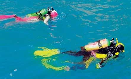 Introductory Scuba There are several levels of scuba training. Basic introductory experiences are conducted in pools with a small group supervised by a certified instructor.