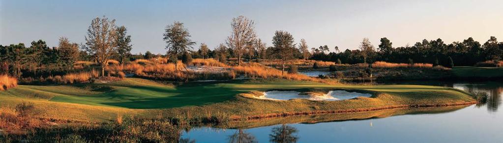 TEE TIME The golf collection of Camp Creek, Shark s Tooth and Origins offers discerning golfers a rare assembly of three legendary golf course designers all within an 11-mile radius.