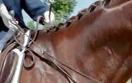 Either two stirrups or no stirrups may be used for those riders with weakness, dysfunction in the legs, sensory