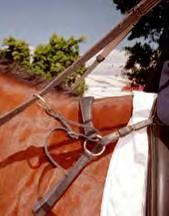 For competitors with two very short arms reins may be run through rings that are attached to the front of the saddle by leather straps. These rings must not be in a fixed position, but shall be loose.