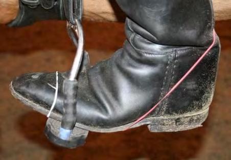 leg. Velcro to assist foot to stirrup