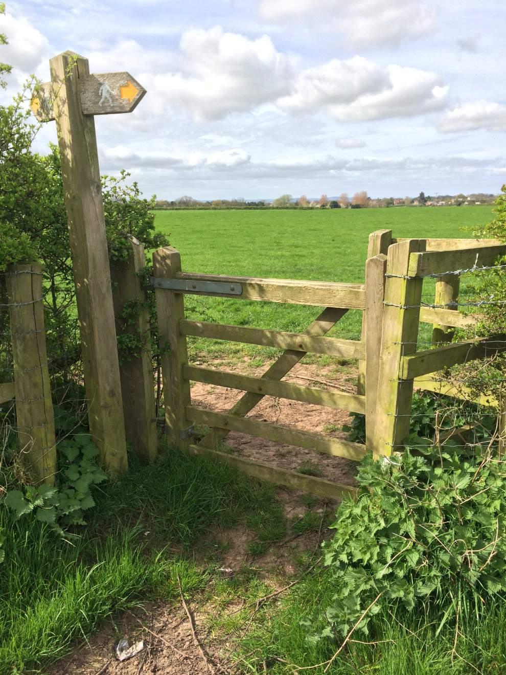 This route begins at The Partridge, and will take you across ﬁelds and through the village of Higher Whitley before returning to your starting point.