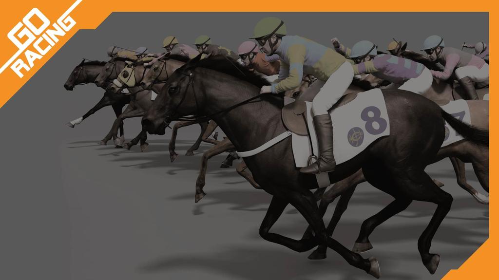 R201E/161223 How to pick horses with the best chance to win?