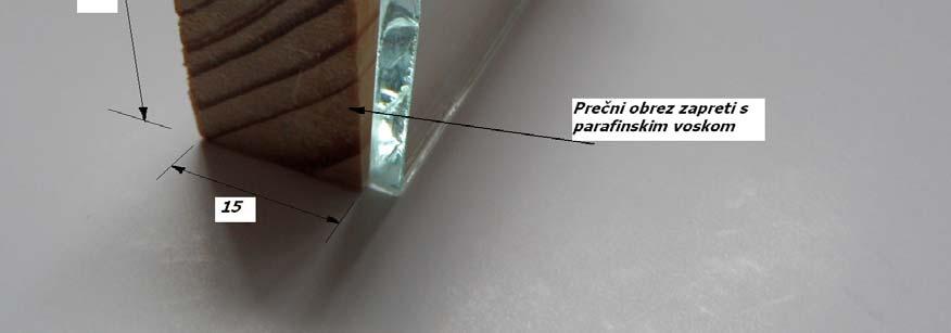 Med steklom in vzorcem mora biti 1 mm razmaka oziroma vrzel (slika 17). Za steklo vstavimo, na vsak vzorec po 10 jajčnih larv in pričnemo z opazovanjem.