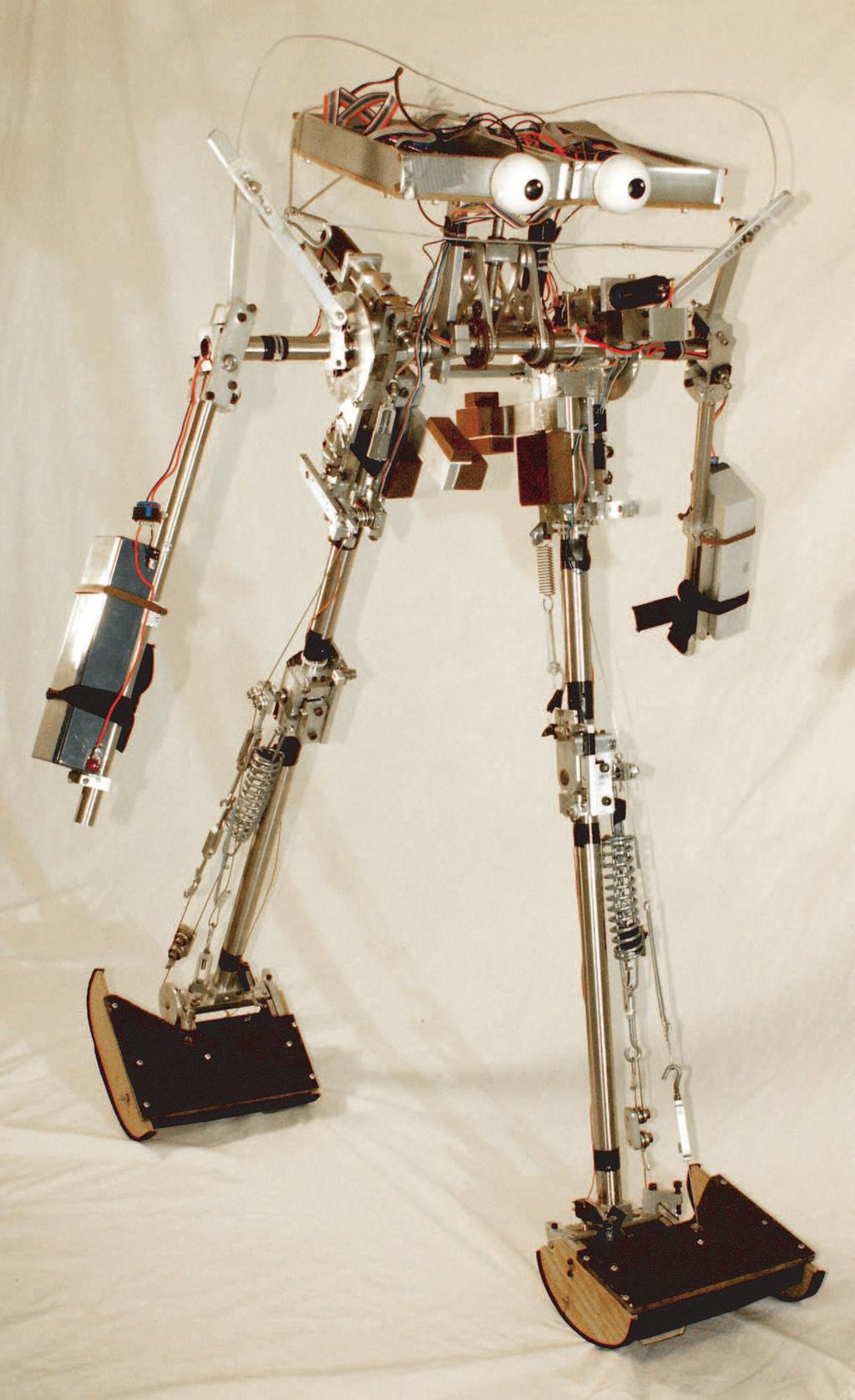 Figure 1: The Cornell powered biped feet, arms, and a small torso which is kept upright by connection to the legs with an angle-bisecting mechanism. Each arm carries a battery.