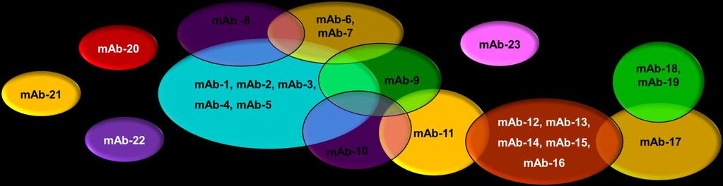 Data Analysis Representation of Cross-Competition Data Amount of Antigen Capture (nm) 50 ug/ml mab1 Bound (nm) mab # Binding Respone of mab-2 Binding to Antigen Pre-bound to mab-1 (nm) 1 2 3 4 5 6 7