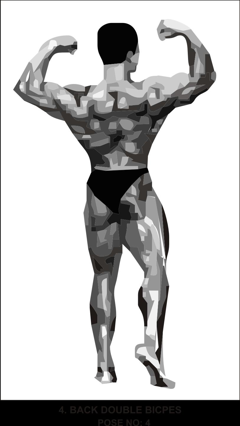 4. Back Double Biceps (see figure below) Standing with his back to the judges, the competitor will bend the arms and wrists as in the front double biceps pose, and will place one foot back, resting