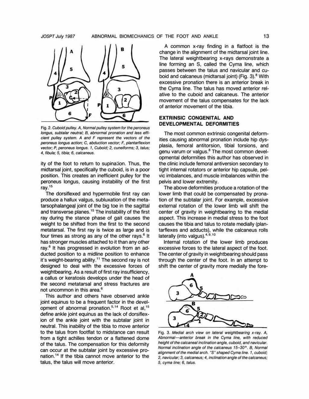 JOSPT July 1987 ABNORMAL BIOMECHANICS OF THE FOOT AND ANKLE 13 A common x-ray finding in a flatfoot is the change in the alignment of the midtarsal joint line.