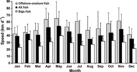 North Pacific albacore migration and behavior 165 Figure 5.