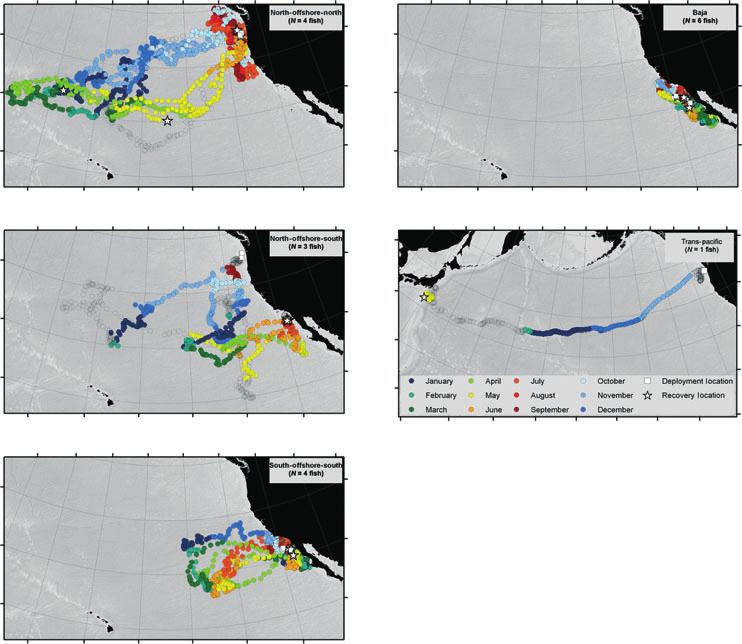 164 J. Childers et al. Figure 4. Migration types colored by month. (a) North-offshore-north; (b) North-offshore-south; (c) South-offshore-south; (d) Baja; (e) Trans-Pacific.