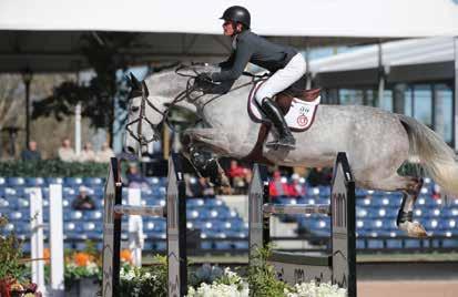 com VDL STALLIONS Zapatero VDL Arezzo VDL Janko van de Lageweg Continued from Page 1 WW: How has participating in the WEF Sport Horse Auction impacted VDL as a business?