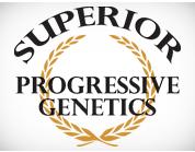 SUPERIOR PROGRESSIVE GENETICS GENERATE HIGHER PREMIUMS FOR YOUR CATTLE Superior Progressive Genetics (SPG) is a value added program launched by Superior Livestock Auction to create a premium for