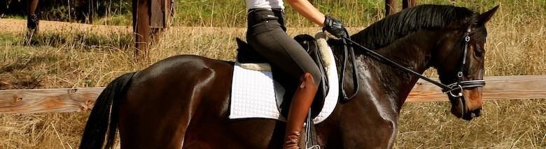Equitation Equitation is the art or practice of horse riding or horsemanship.