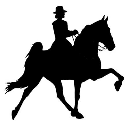 S A D D L E S E A T D I V I S I O N In all Saddle Seat Division classes, horses and ponies should be of the English Saddle type and must show full mane and tail and must be serviceably sound.