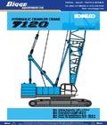 Free download preventing crane collision skyline tower crane services also accesible right now.