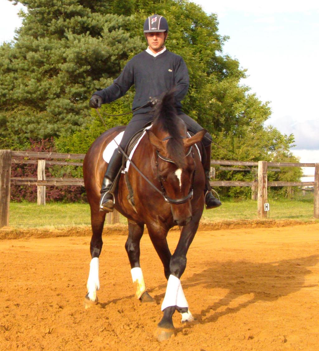This develops thoracic sling motion range, encouraging the horse to carry his spine higher between his shoulder blades.