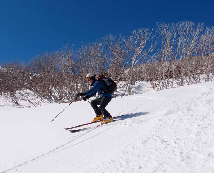 backcountry skiing A BUYING GUIDE TO: BACKCOUNTRY,