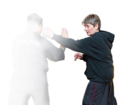 SCHOOL, TEACHERS, AND LINEAGE Our Lineage Professor Barbara Bones Professor Bones training in the martial arts began in 1971 in the art of Tae Kwon Do.