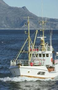 Licences granted the fishing fleet At the end of 1999, 794 licences for fishing, sealing and whaling were granted and allocated to 454 vessels.