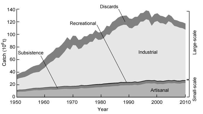 Reconstructed catches for all countries in the world, plus High Seas, by large-scale (industrial) and small-scale sectors