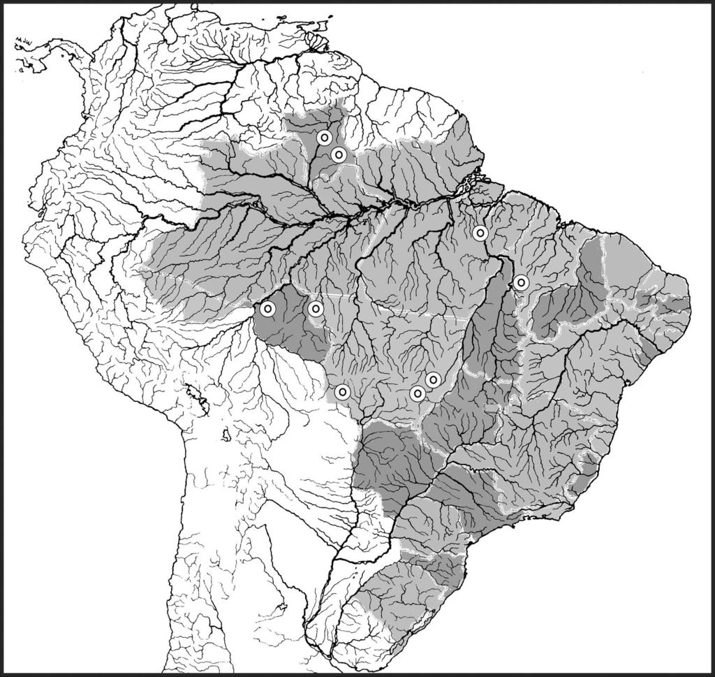 Oligoneurioides amazonicus (Ephemeroptera: Oligoneuriidae) 141 Figure 1. Geographic distribution of O. amazonicus in Brazil (differences in colouration indicate Brazilian States). Wings.