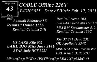 Remitall Online 122L - Sire of Lot 43 & embryos 41A & 41K